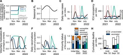 Interplay Between Risk Perception, Behavior, and COVID-19 Spread